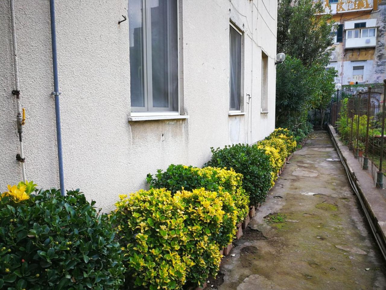 Il Giardino Di Vico Neve Bed & Breakfast Napoli Ngoại thất bức ảnh